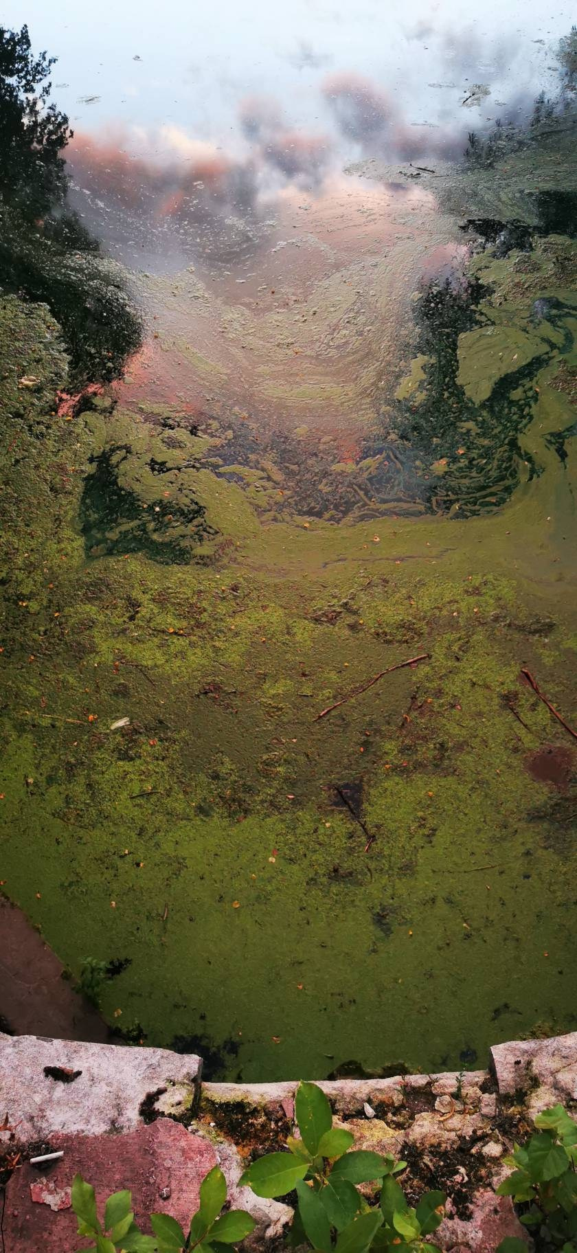 Лефортовский парк — по следам Петра Первого. Купить картину на холсте для интерьера|художник | дизайнер | архитектор Сергей Ратчин в Москве