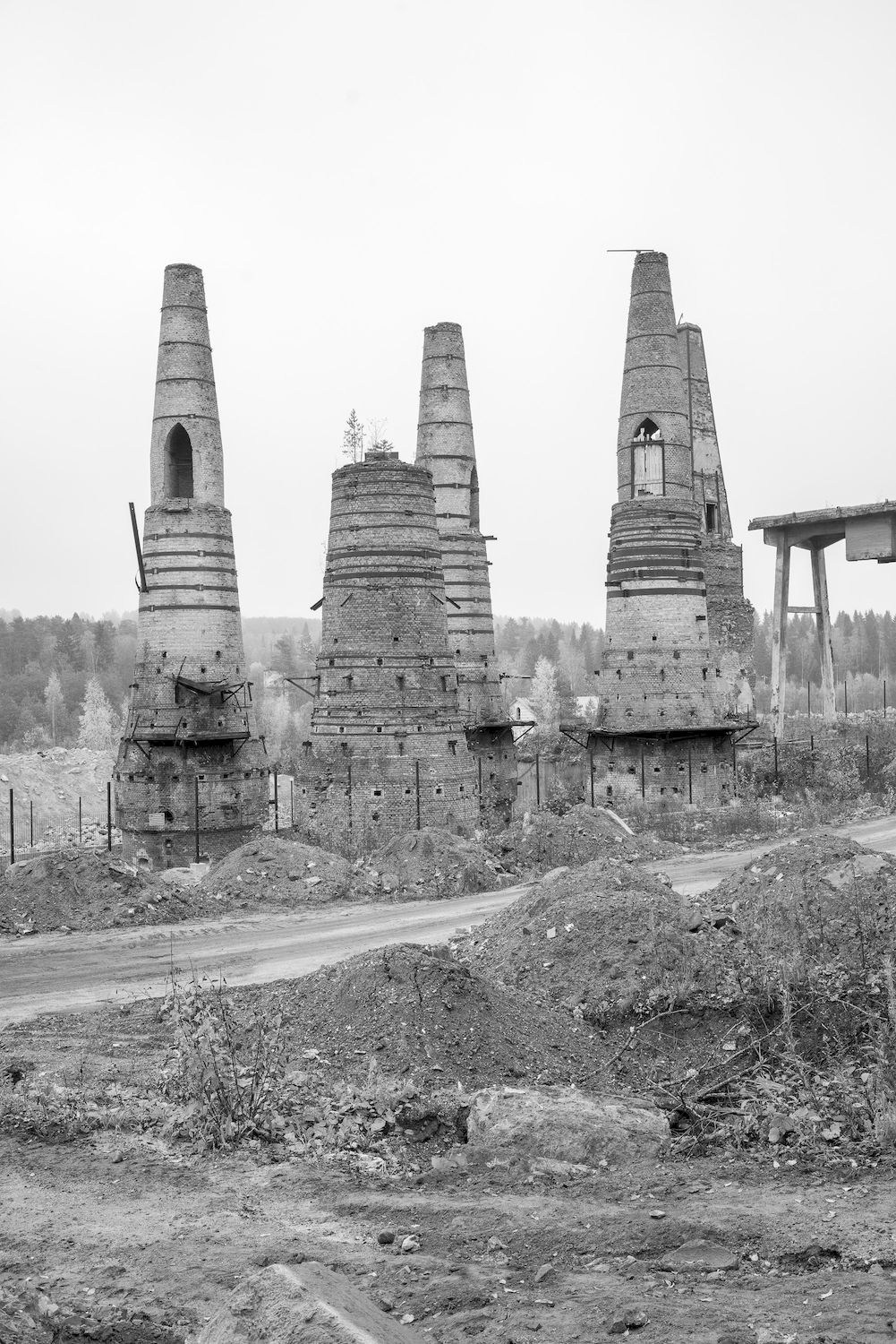 Littorea история о Петербурге улитке. Василий Пиндюрин визуальный художник