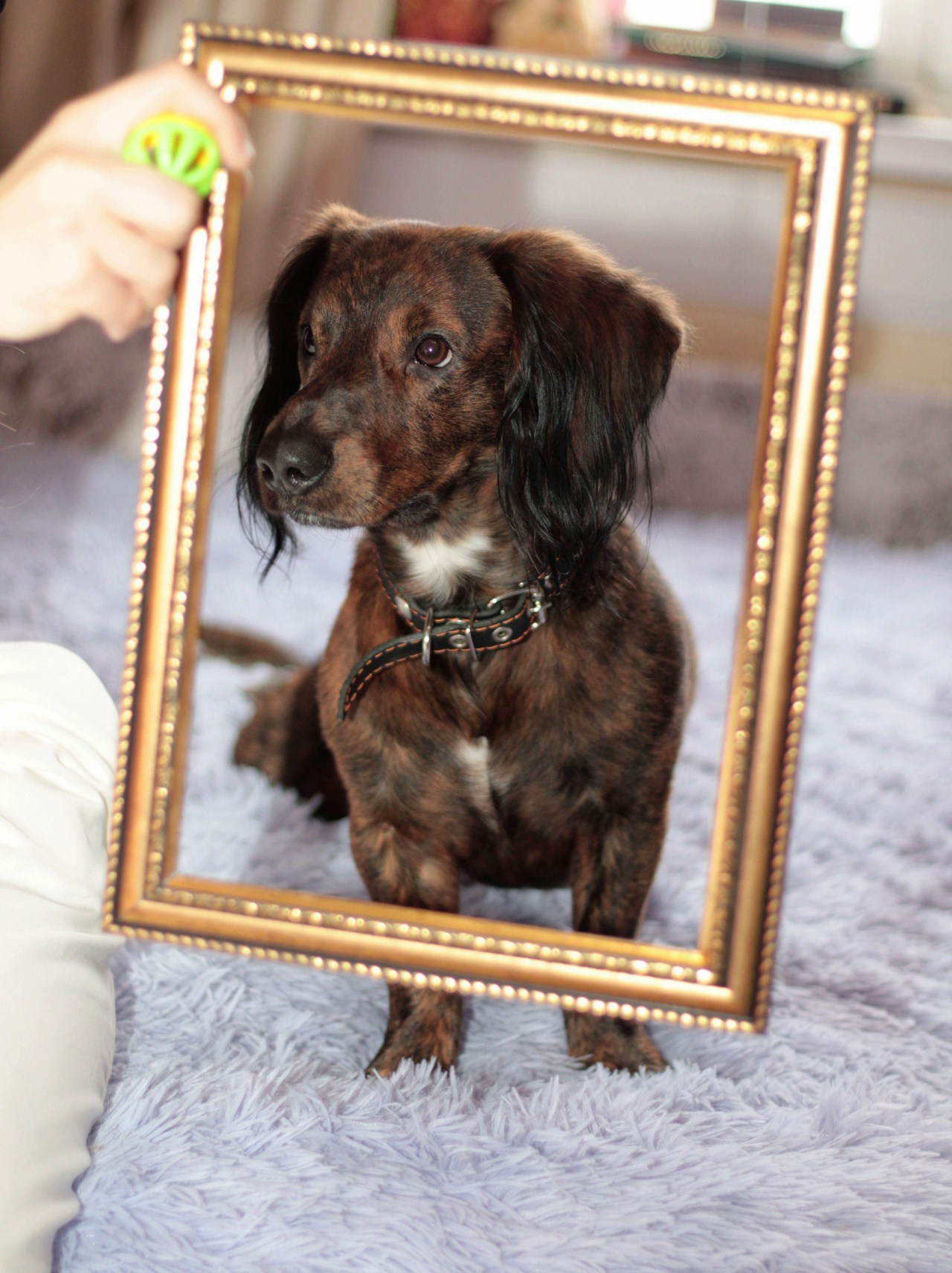 Катя Попова|ЛайфСтайл фотограф