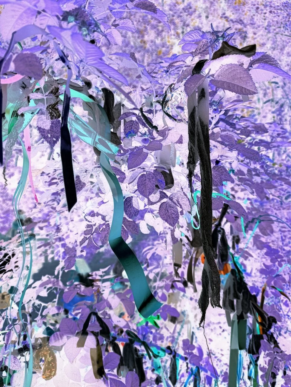 Елена Чернышова — Пираты воображения