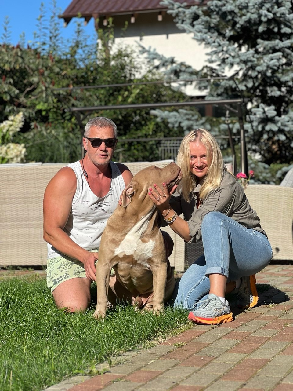 GBU ESKOBAR. Американские булли XL в г. Калининград. Питомник Great Bully UNIVERSE