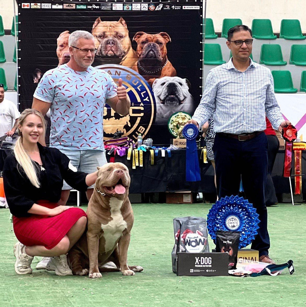 Хантер. Американские булли XL в г. Калининград. Питомник Great Bully UNIVERSE