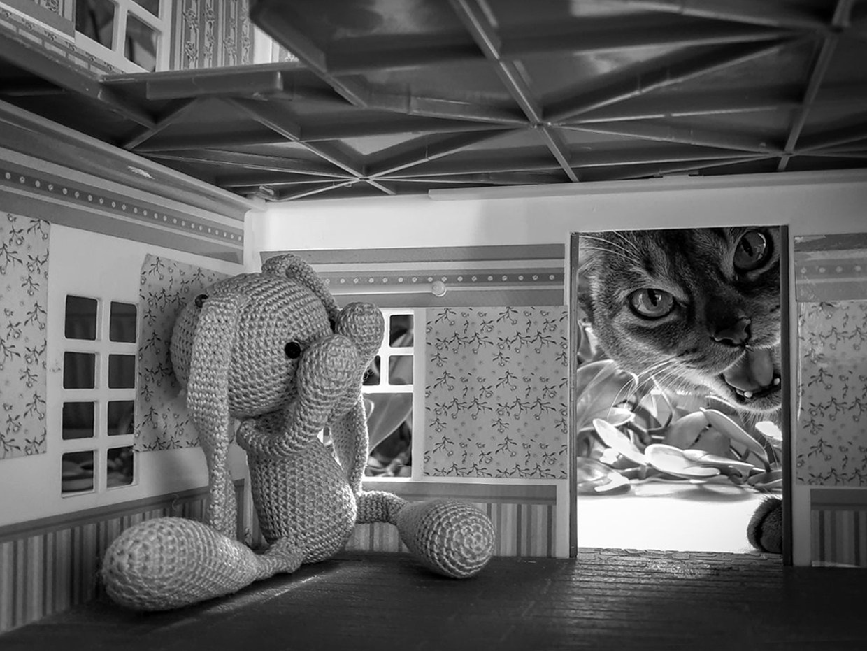 Курс «С нуля»