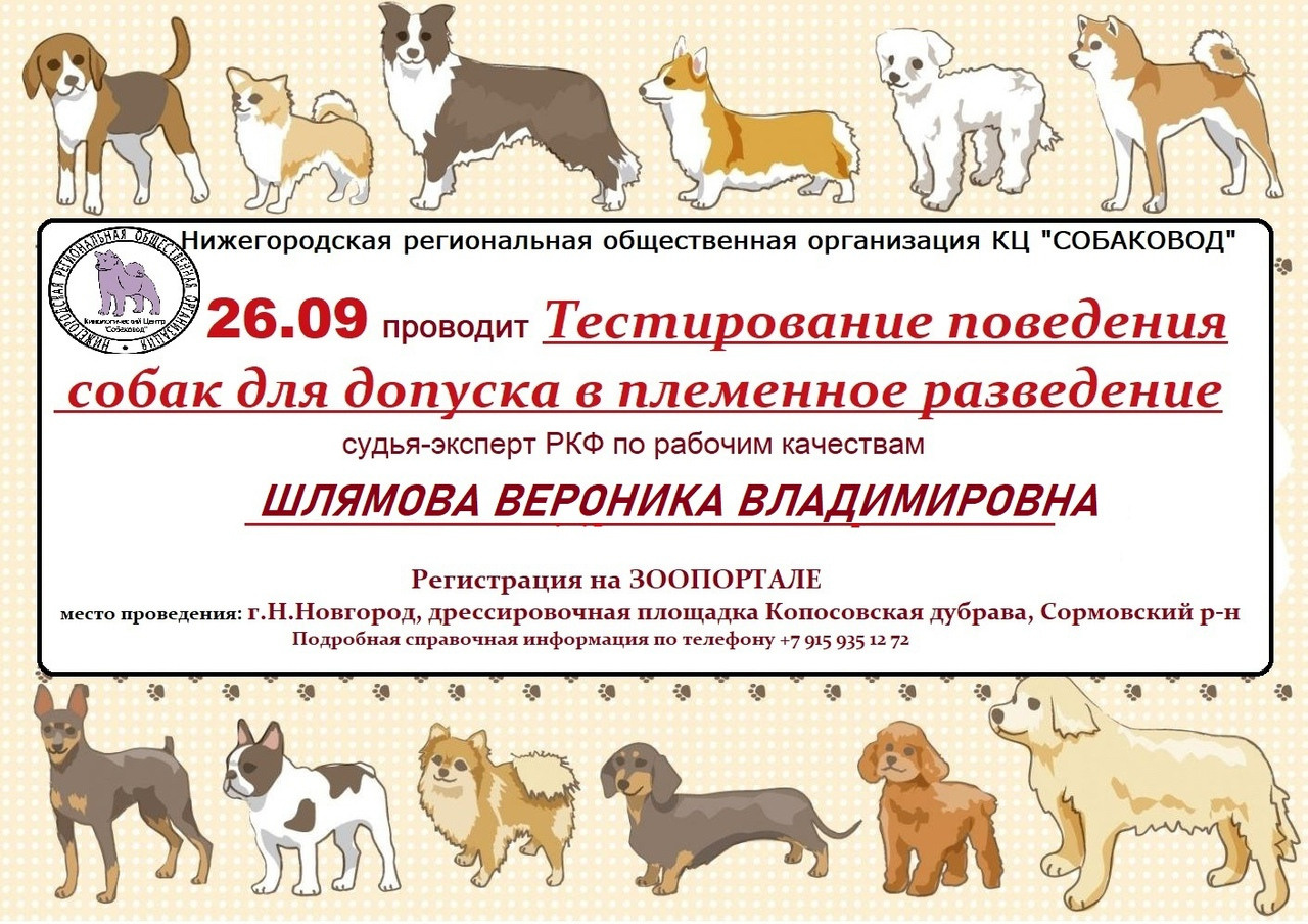 ТЕСТИРОВАНИЕ СОБАК ДЛЯ ДОПУСКА К СОСТЯЗАНИЯМ ПО МОНДЬОРИНГУ. НРОО КЦ "Собаковод"