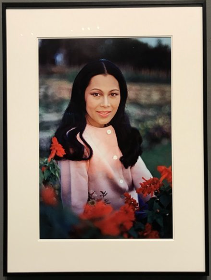 Рама IX — король Таиланда и его фотографии