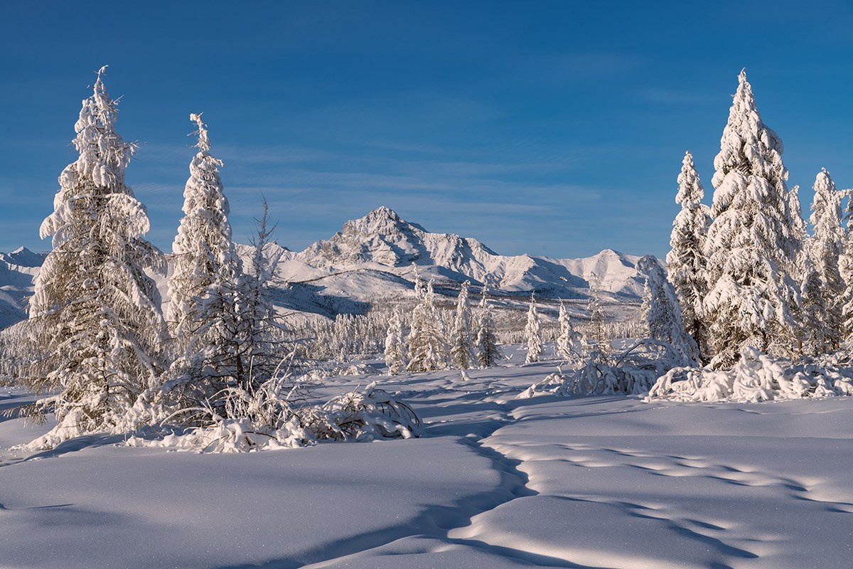 Горы Черского и Момский хребет. Якутия. Зимник Арктика. (1). PhotoGeographic Фототуры по России