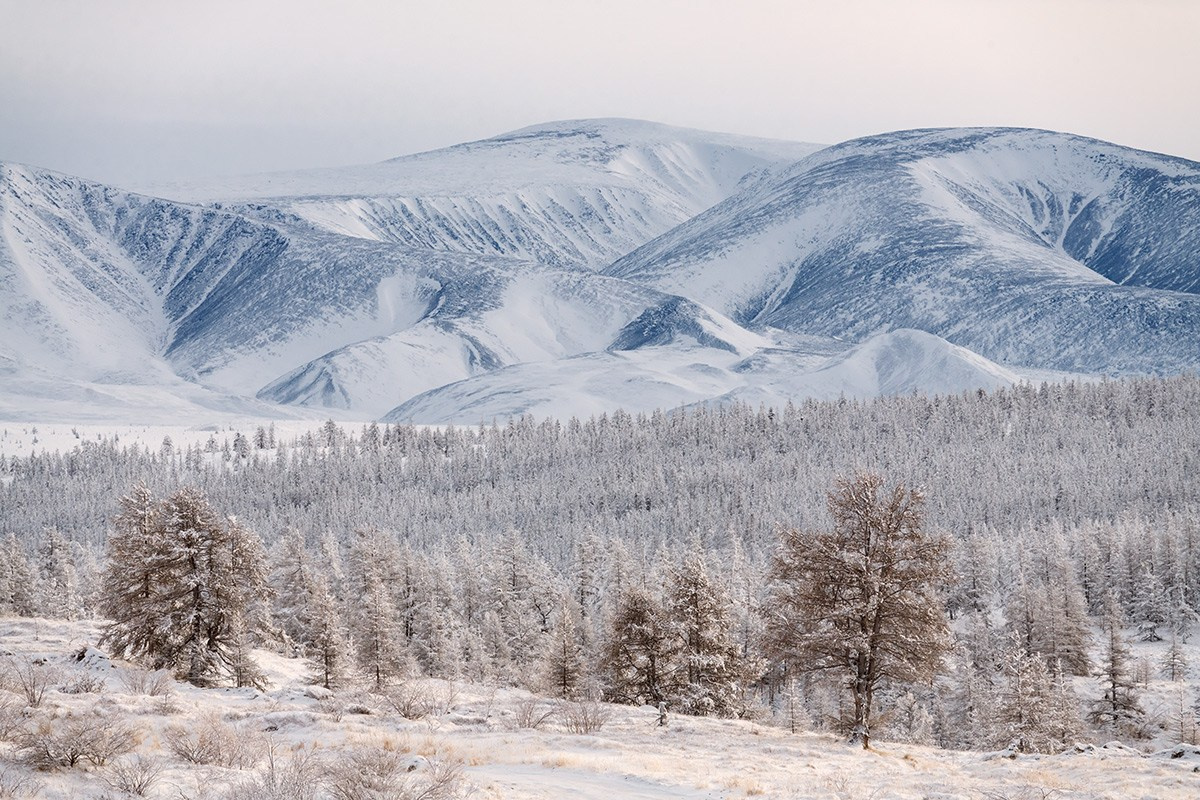 Горы Черского и Момский хребет. Якутия. Зимник Арктика. (1). PhotoGeographic Фототуры по России