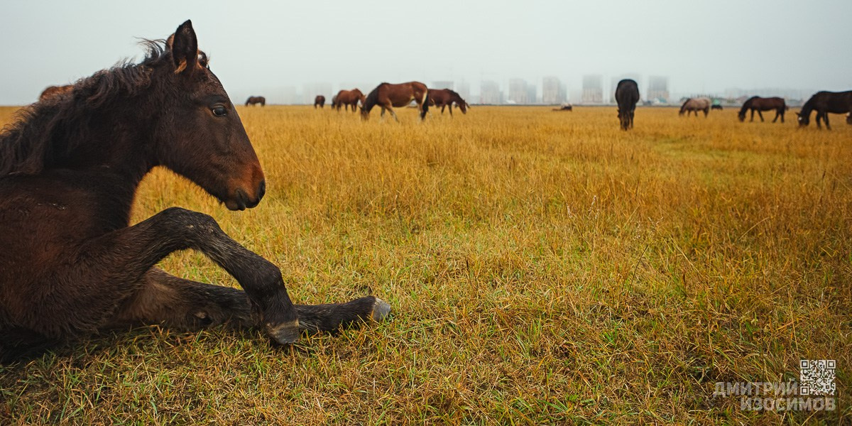 В последнюю осень