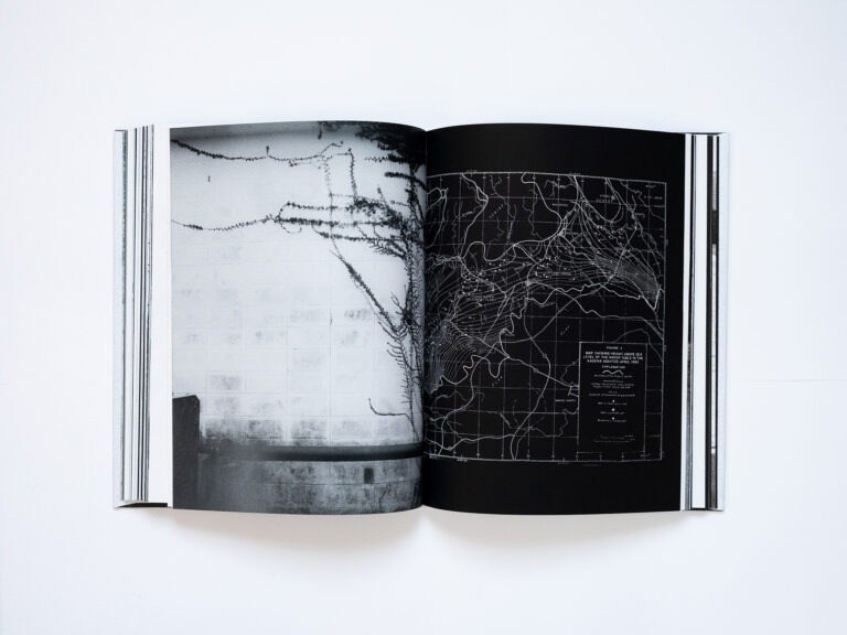 ИНТЕРВЬЮ С АВТОРАМИ: MOE SUZUKI. Самоорганизация Низина