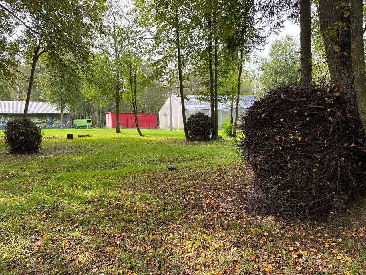 Парк Шиньонов. Лилия Ким. Междисциплинарный художник