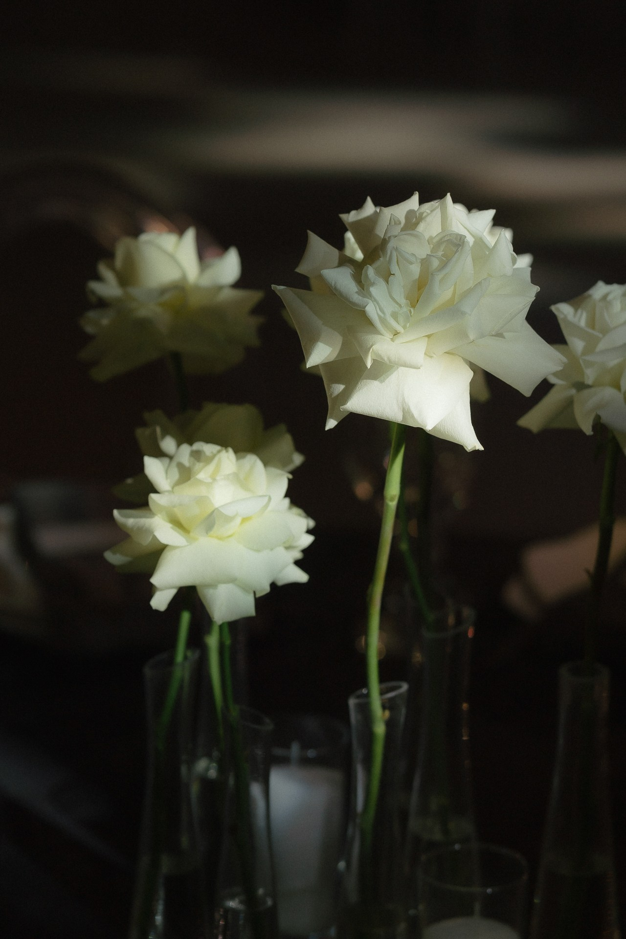 Сергей и Дарья. Свадебный фотограф в Белгороде Антон Каменев