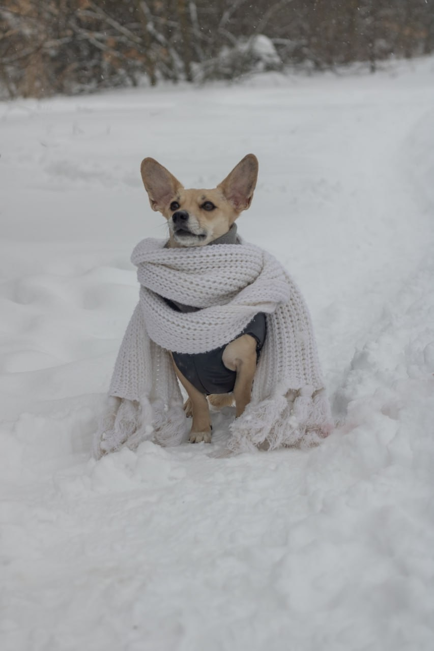 Катя Попова|ЛайфСтайл фотограф