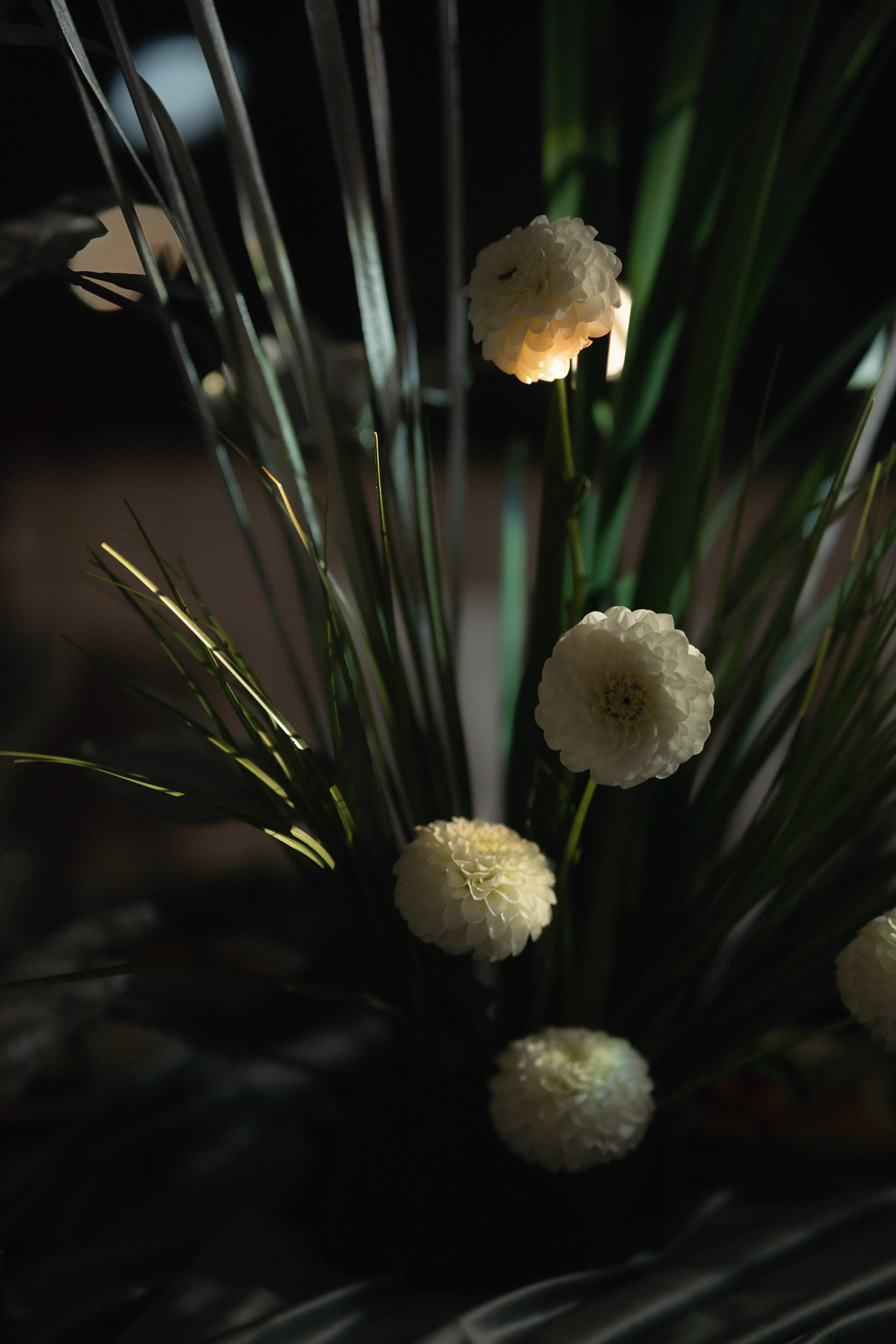 Артём и Карина. Свадебный фотограф в Белгороде Антон Каменев