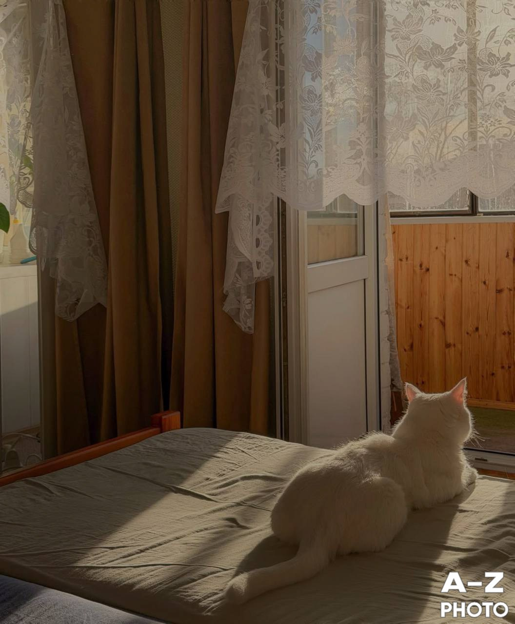 #ФОТОНЕДЕЛИ 30.03.2026. Женский семейный фотограф Тула Москва Захарова Анна