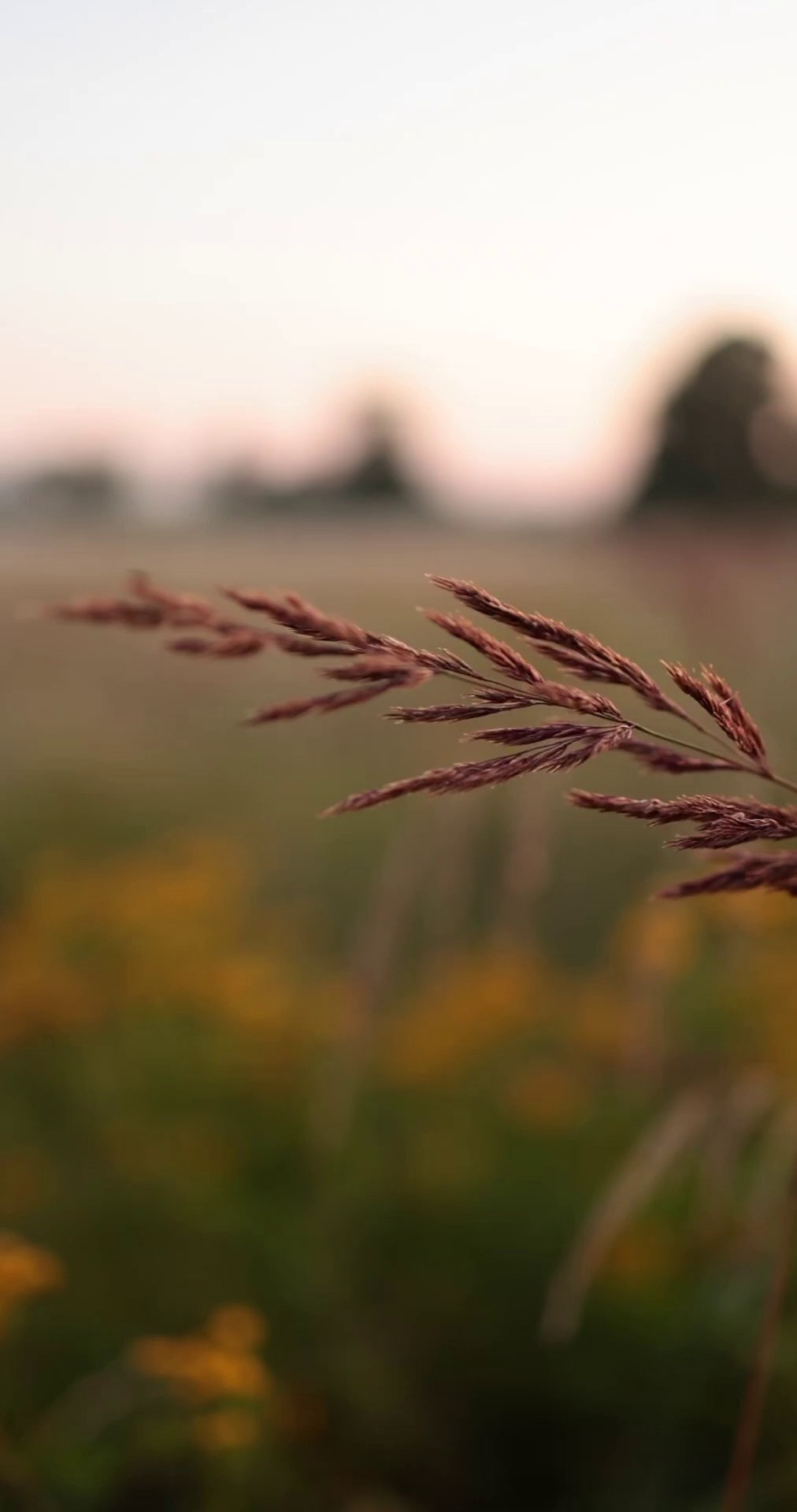 Фотограф Александр Калинин