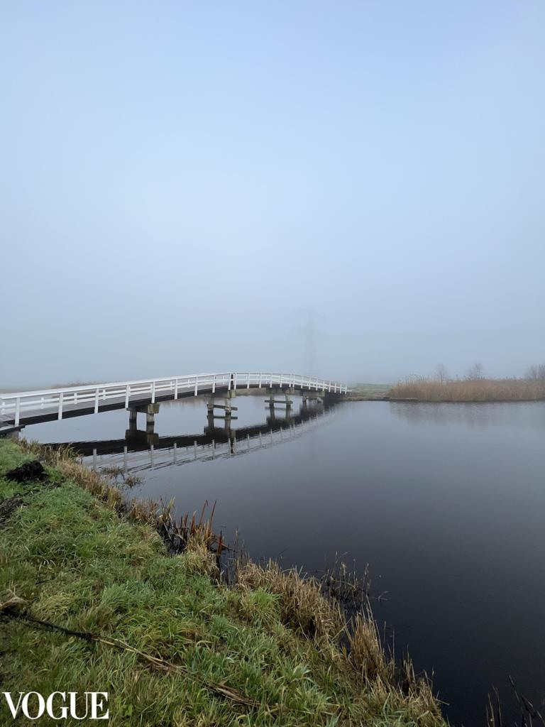 Bridge to the other side. Photographer in Moscow Ira Beinar