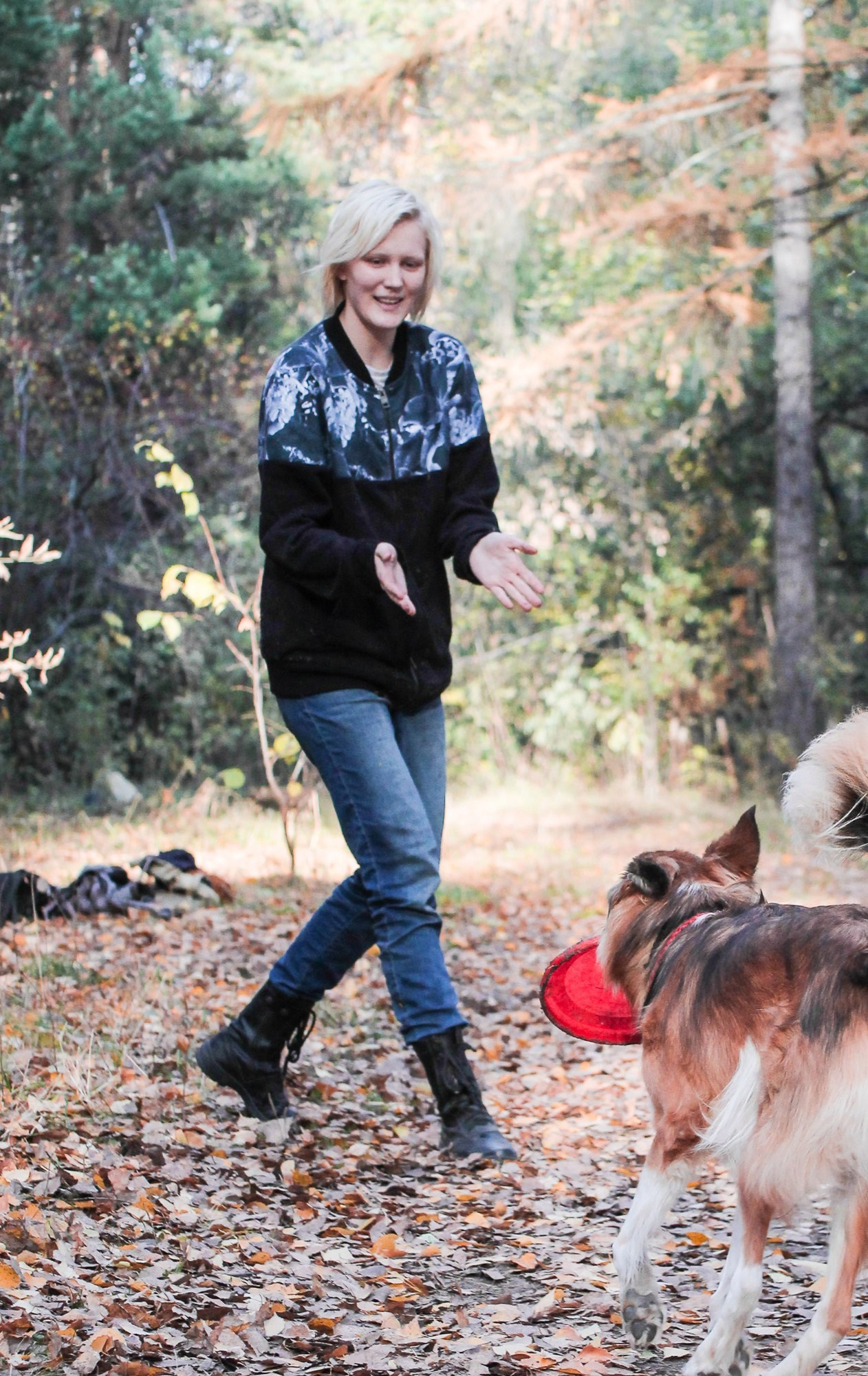 О нас. BLGKV питомник собак