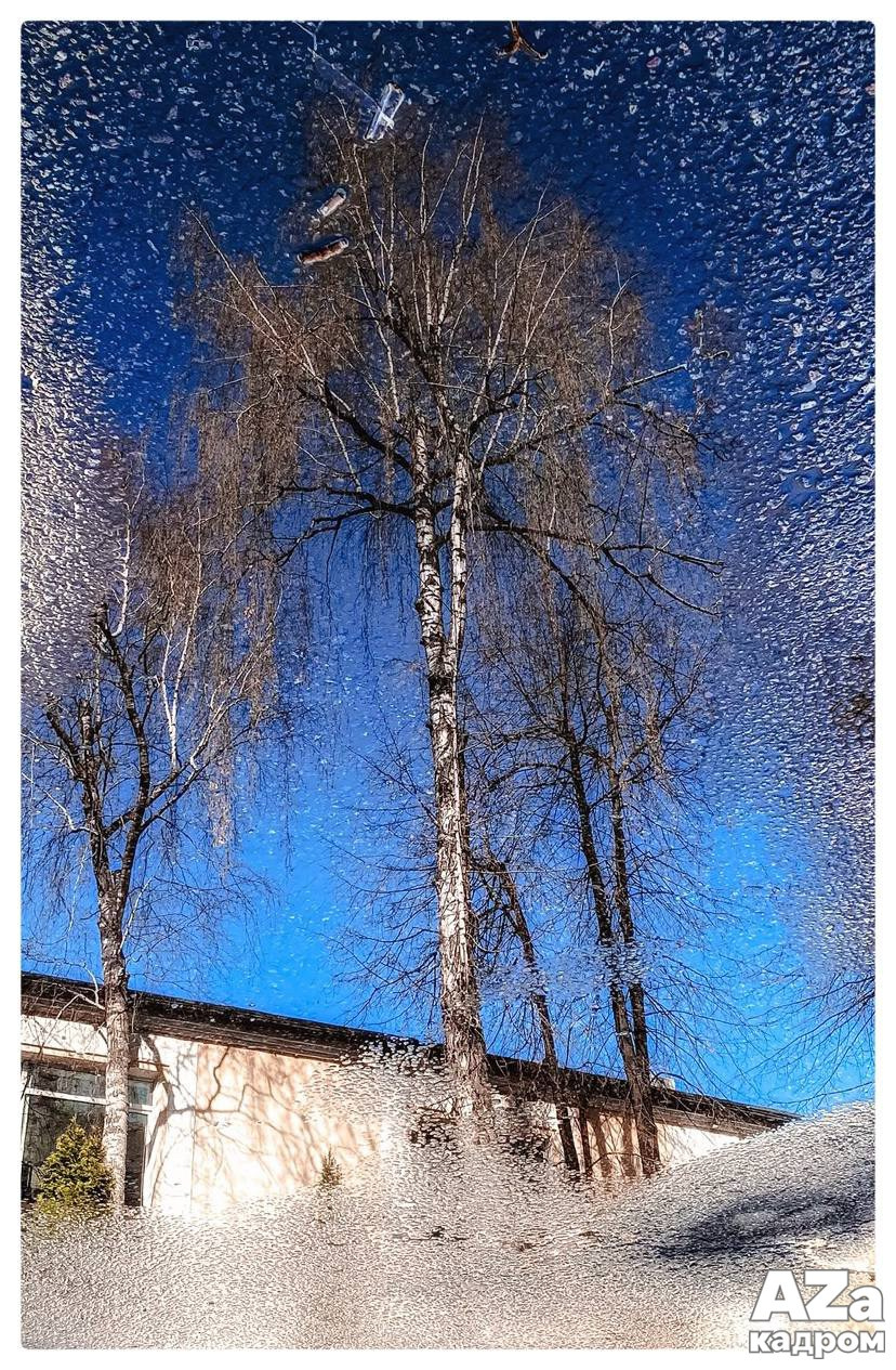 Дыхание весны. Фотоклуб AZакадром. Женский семейный фотограф Тула Москва Захарова Анна