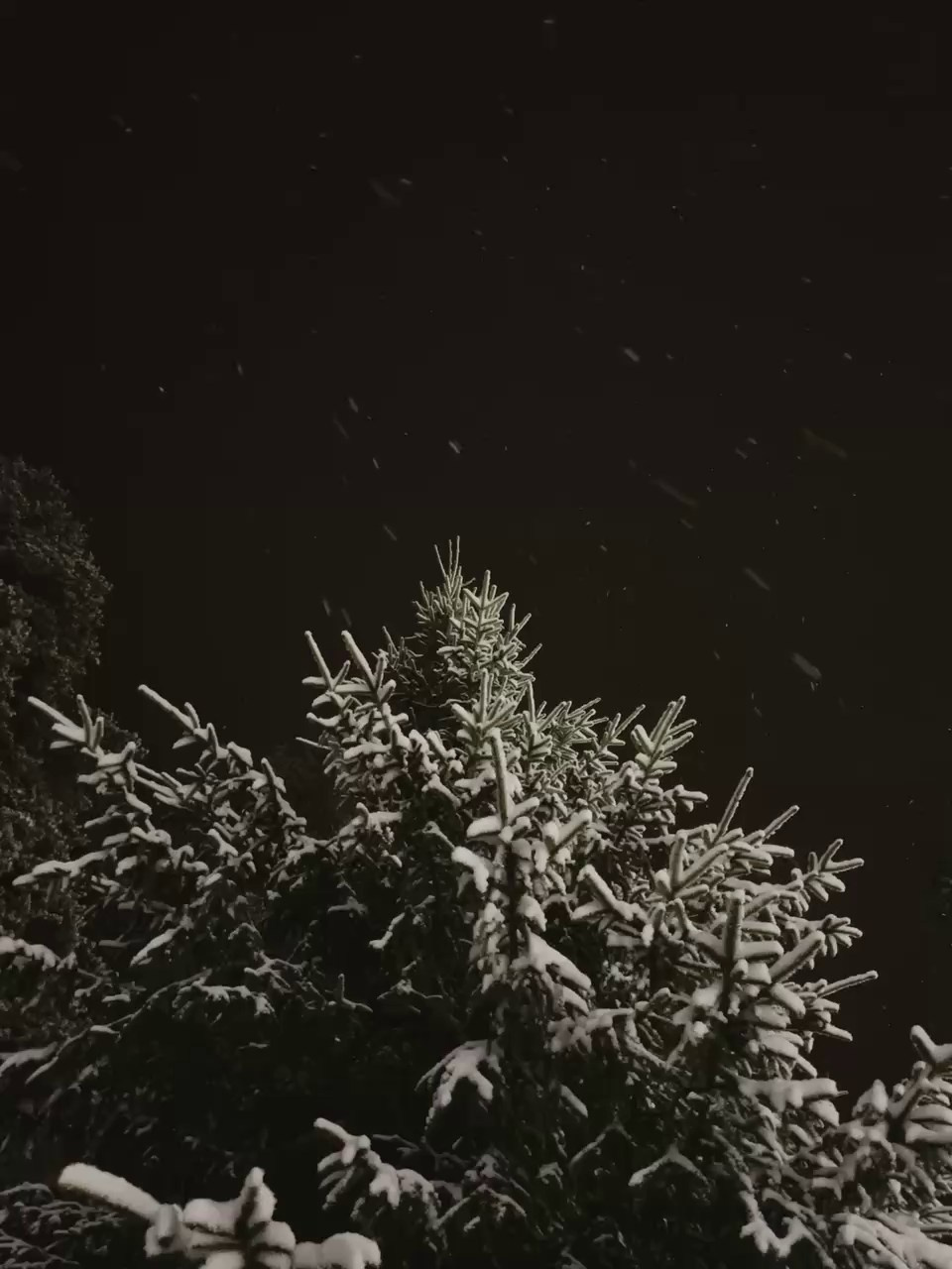 Наконец-то удалось вырваться на семейный отдых. Портретный фотограф | Олеся Комарова | Екатеринбург