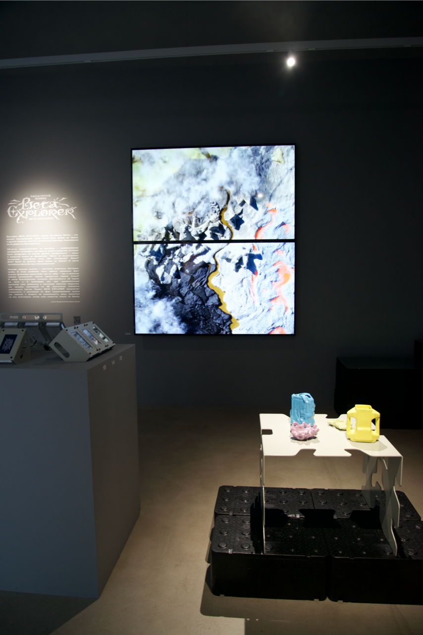 BETA-EXPLORER. Anna Zavediy
