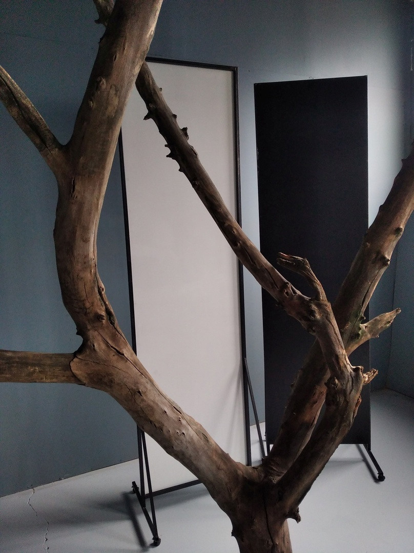 TIME. Семейный и свадебный фотограф в Воронеже Майя Добровольская