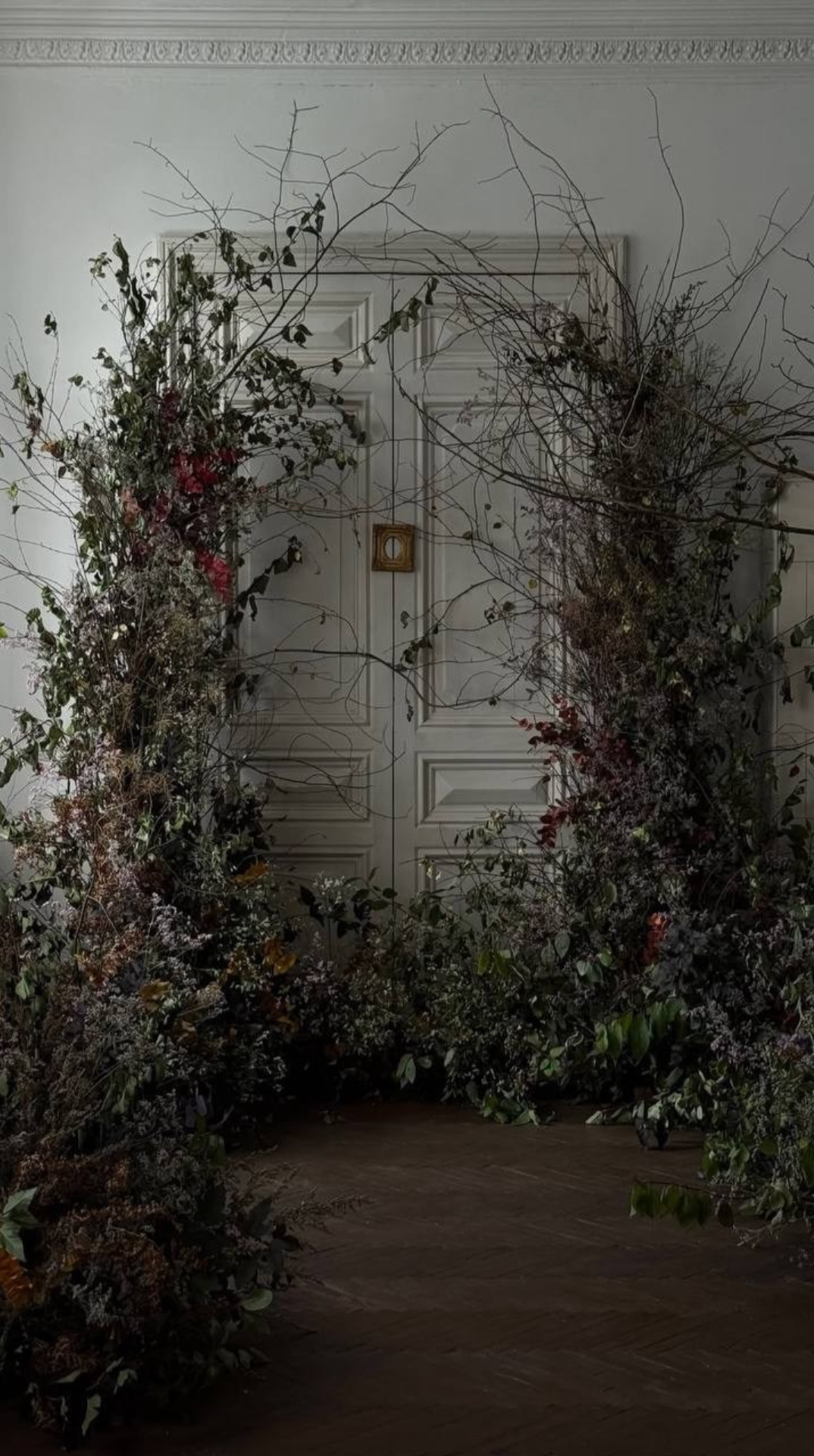 Подборка фотостудий в Санкт-Петербурге. Пленочный фотограф в Санкт-Петербурге Ксения Давыдова