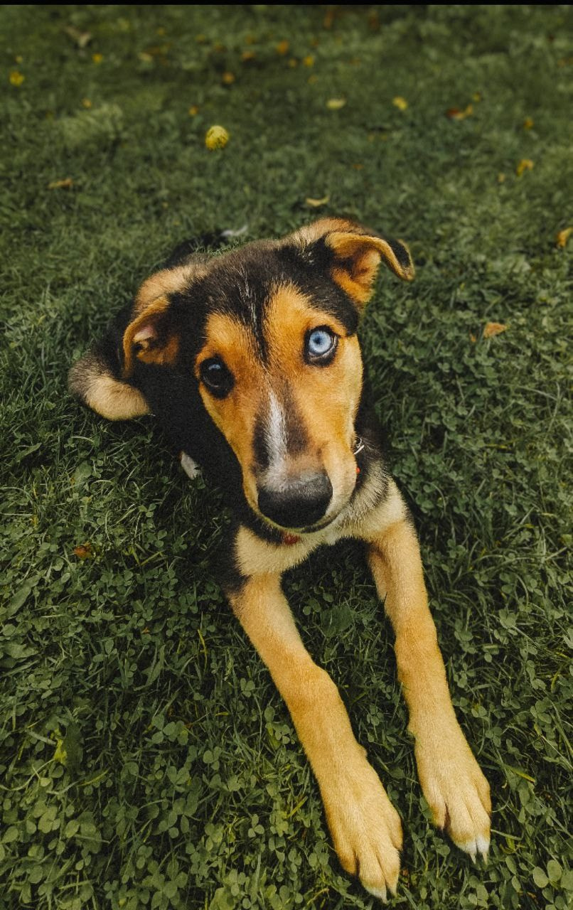 визуально привлекательный контент для социальных сетей