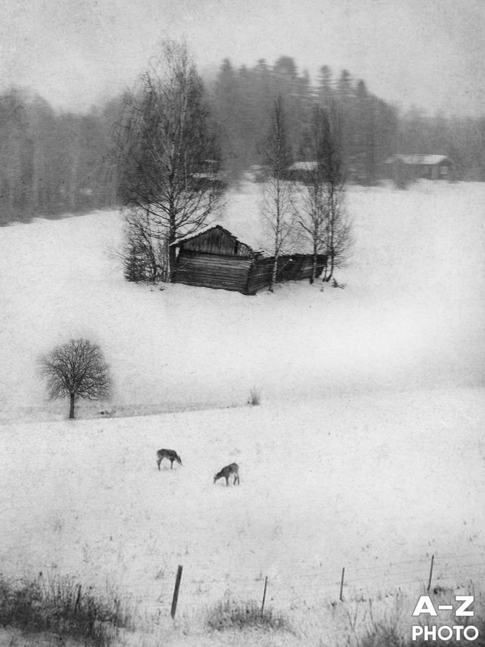 #ФОТОНЕДЕЛИ 16.03.2026. Женский семейный фотограф Тула Москва Захарова Анна