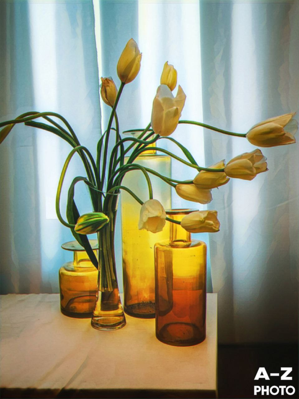 #ФОТОНЕДЕЛИ 16.03.2026. Женский семейный фотограф Тула Москва Захарова Анна