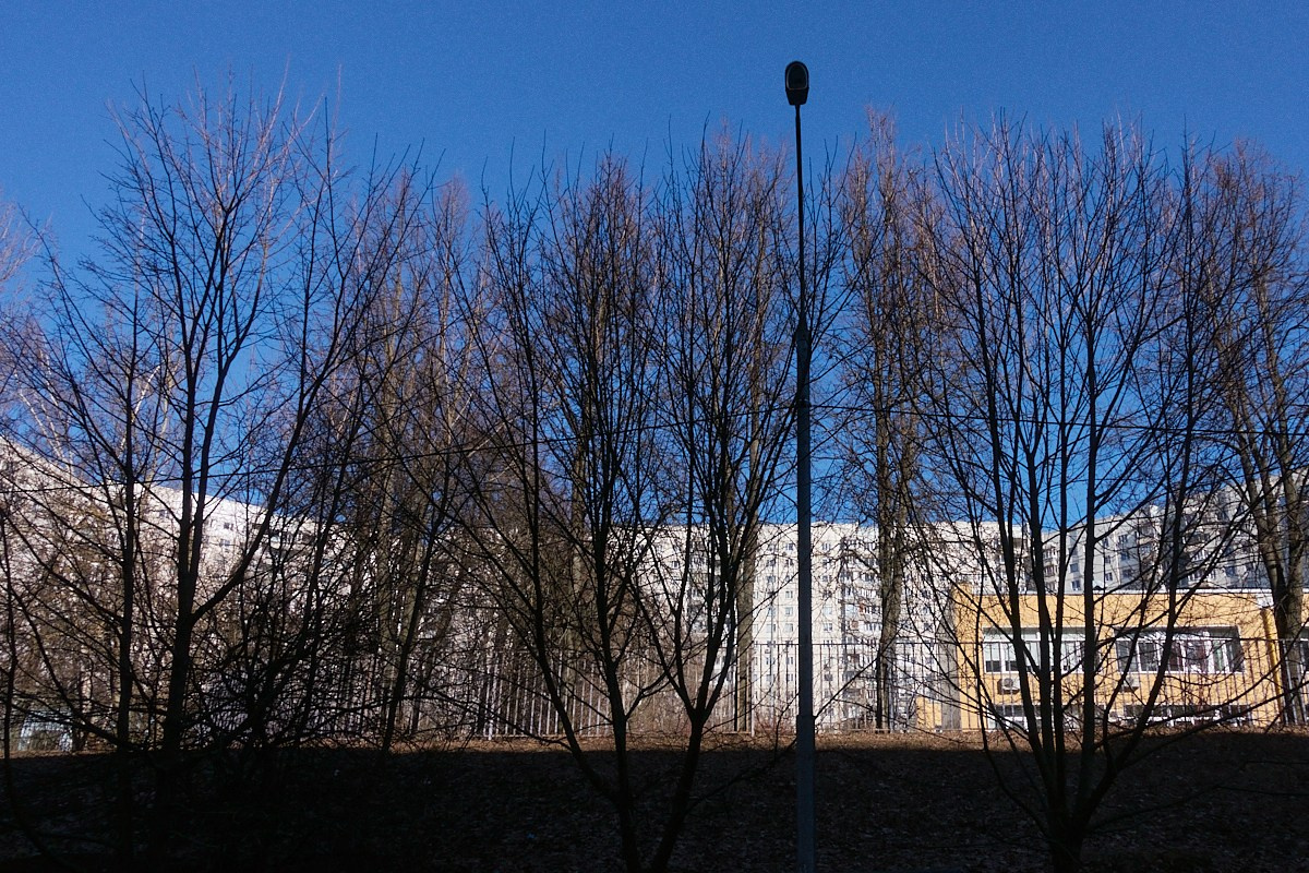 Дневной Сон. Иван Кобяков