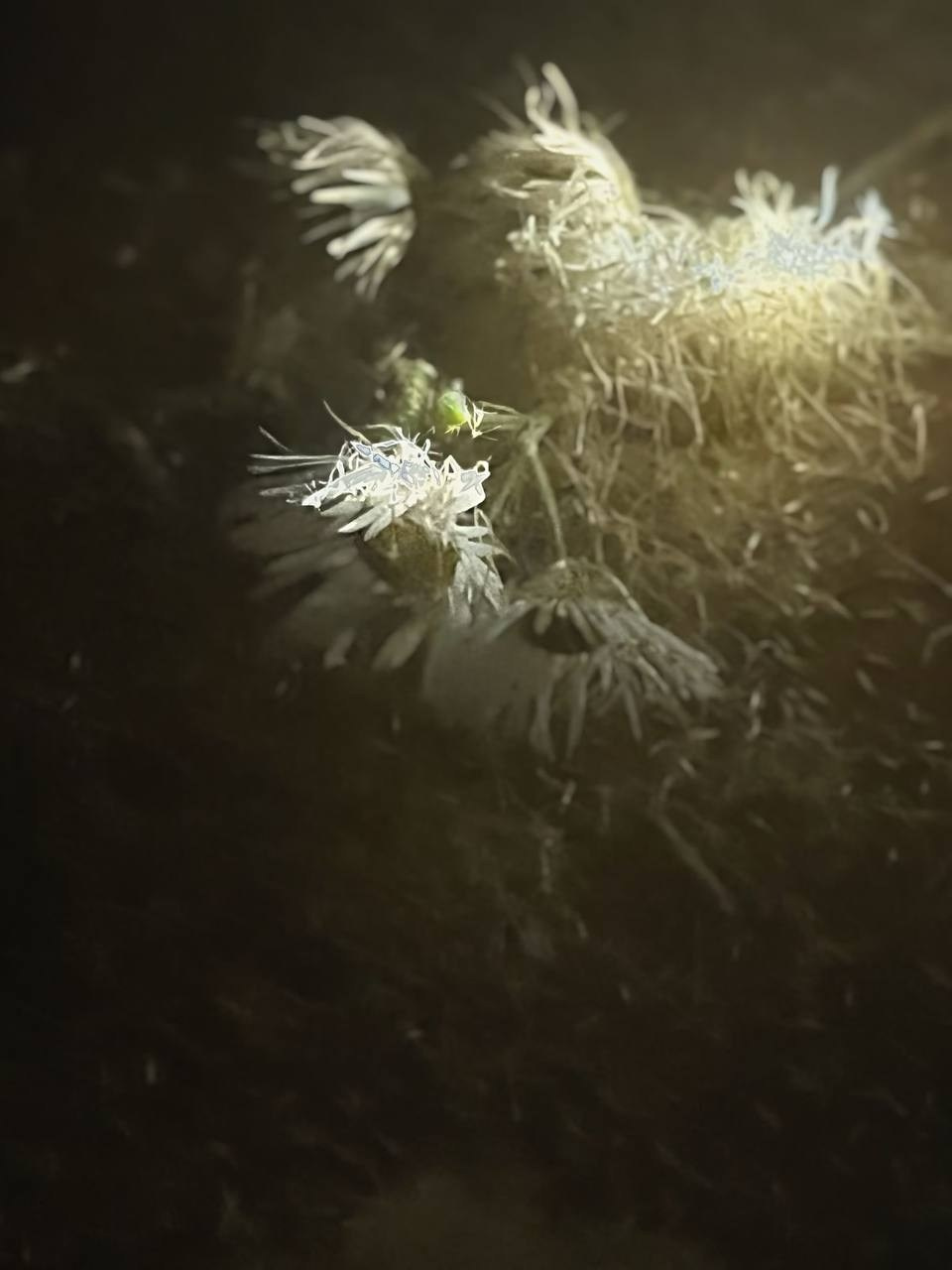 Марафон креативной фотографии. Vladimir Borele Photographer