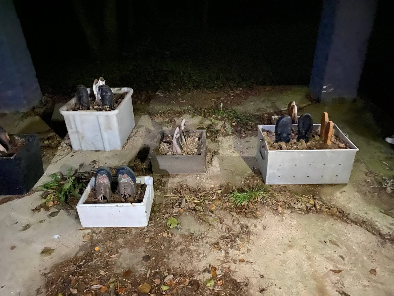 Резиденция «Белые аллеи» Москва. Лилия Ким. Междисциплинарный художник