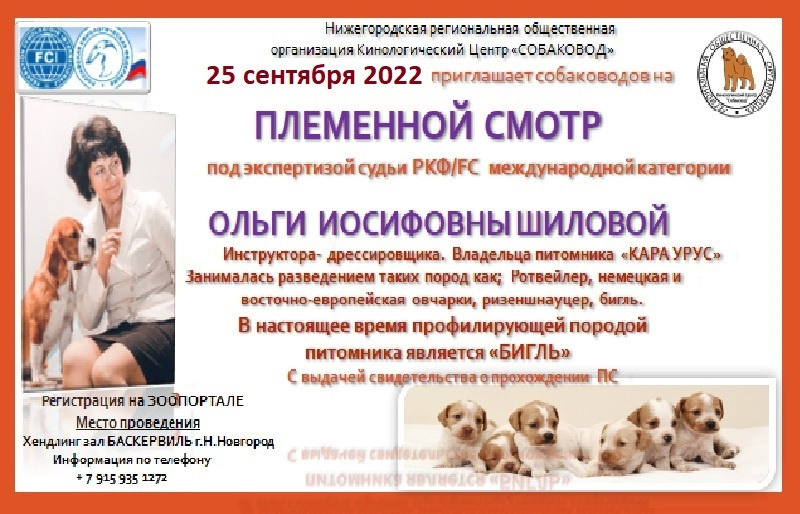 Племенной смотр 27.09.2020 г судья РКФ-FCI — А. Е. Логинов. НРОО КЦ "Собаковод"