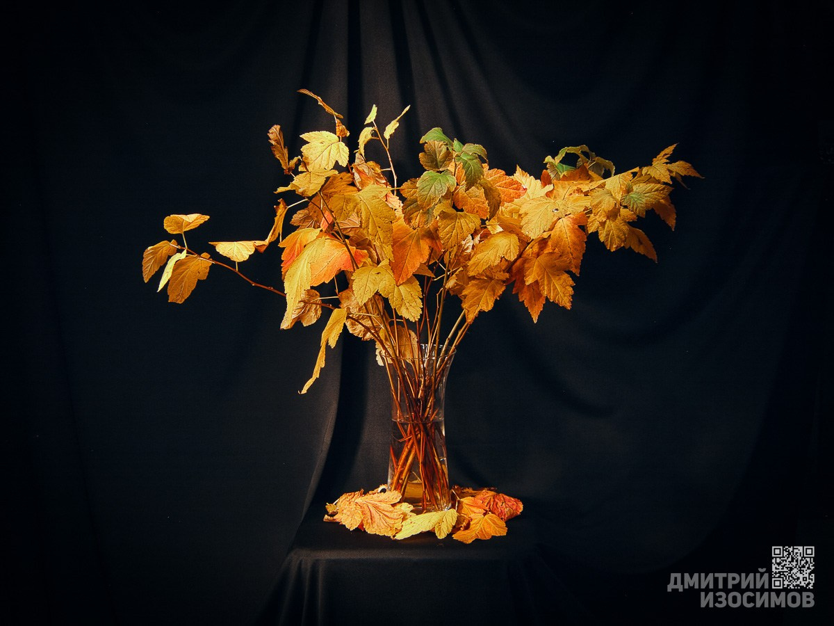 В последнюю осень