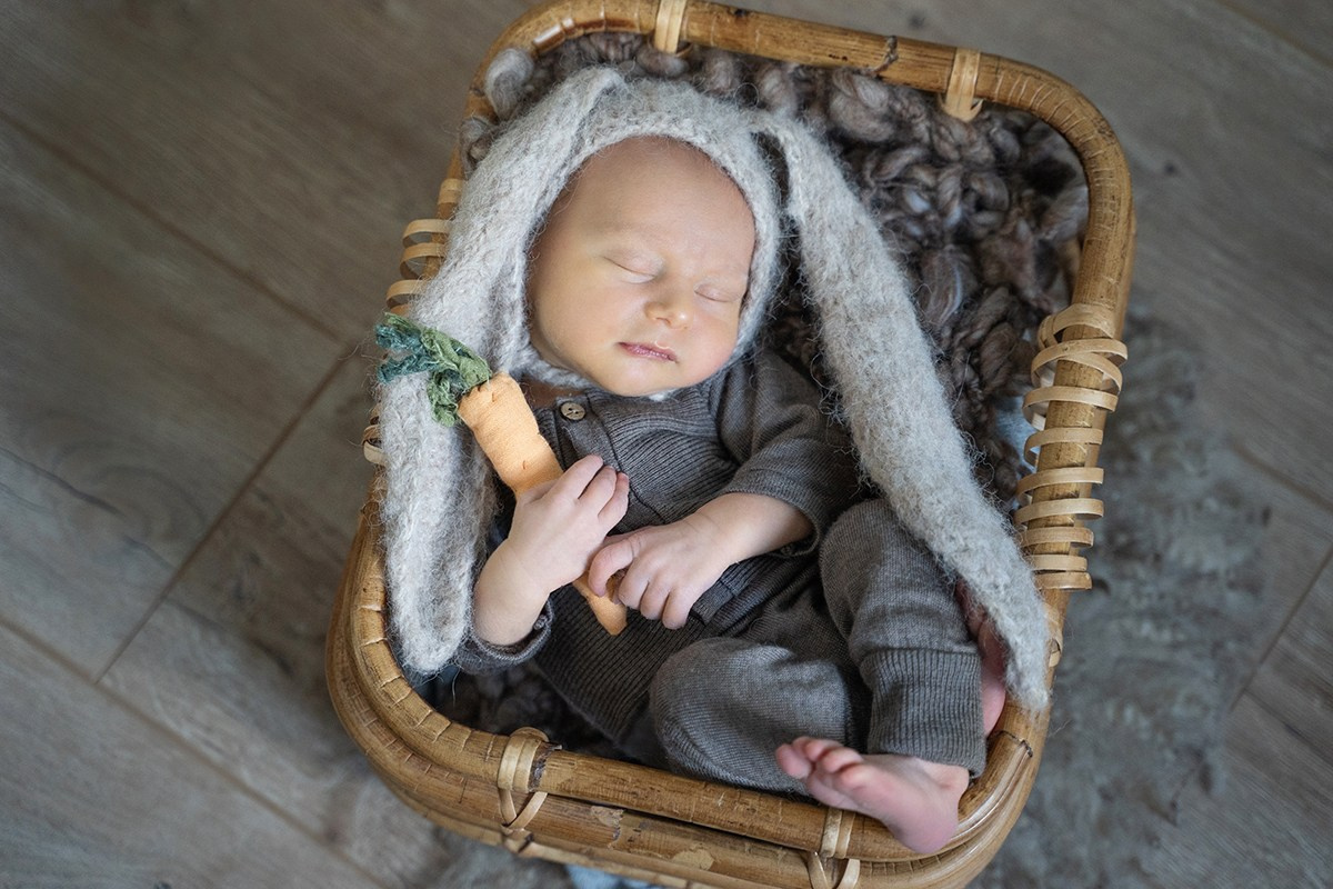 образ новорожденного в виде зайки с морковкой, новорожденный образ для фотосессии в образе зайки