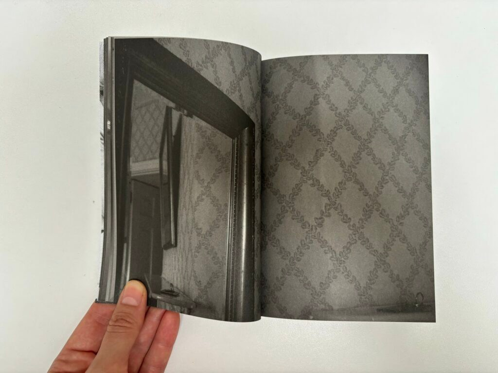 Книга Ройсин Уайт (Róisín White) «Lay Her Down Upon Her Back». Private image