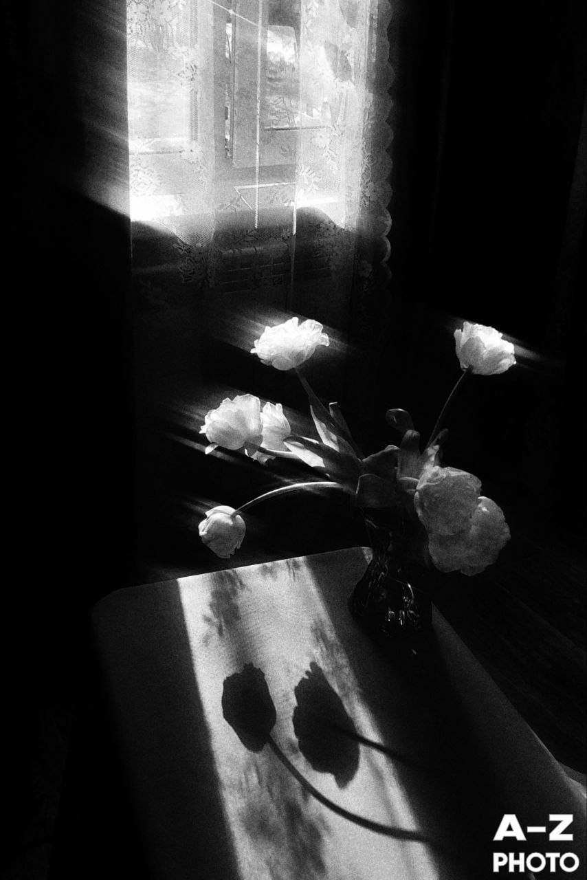 #ФОТОНЕДЕЛИ 16.03.2026. Женский семейный фотограф Тула Москва Захарова Анна