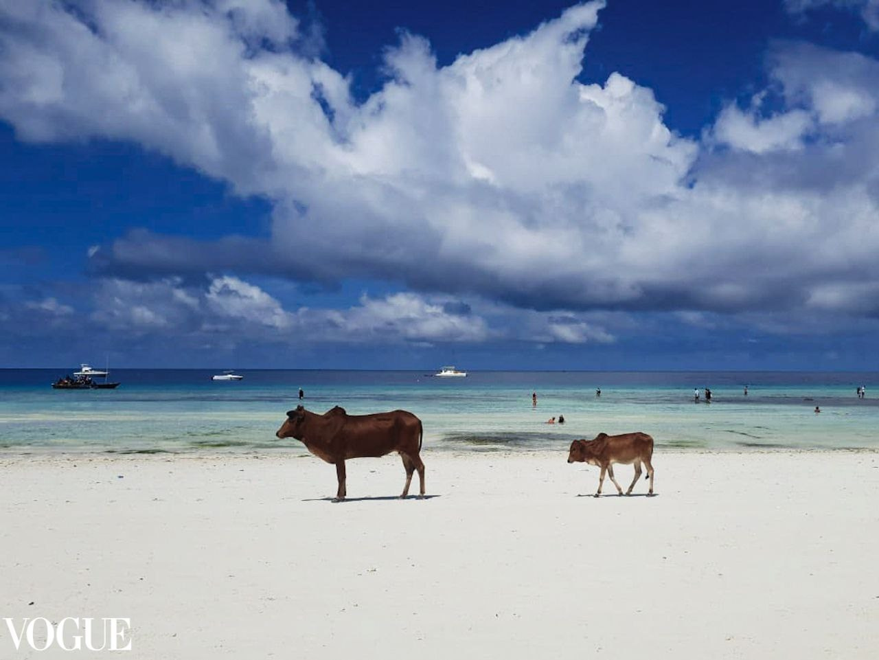 Курс «С нуля»