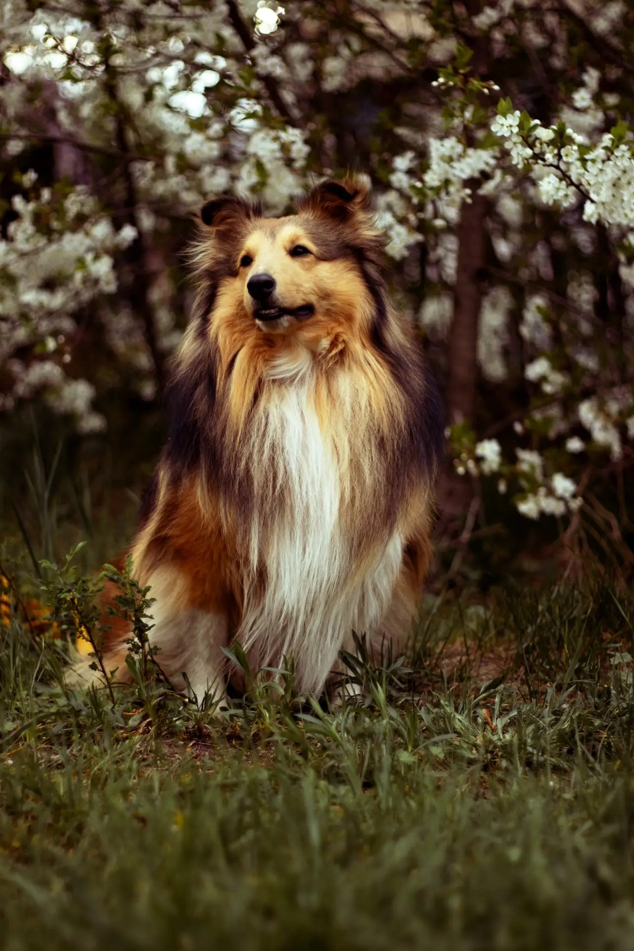 Фотограф Екатерина Попова |Семья и питомцы|НН и Дзержинск