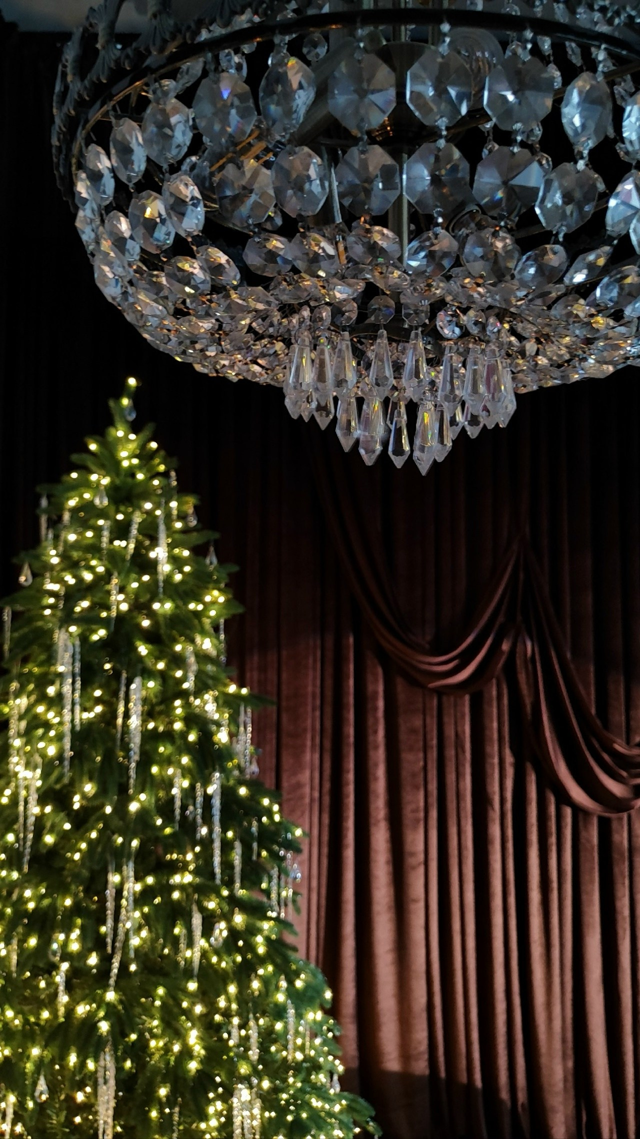 Новогодние залы. Семейный и женский фотограф в Воронеже Ольга Попова