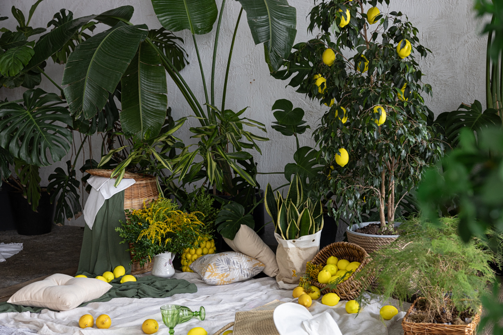 Photohub прочие залы. Фотограф в Минске Людмила Дутко