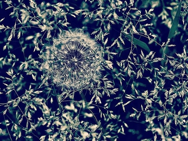 Елена Гонтаренко — художественный портрет. Фотограф в России, Семейный фотограф, репортажный фотограф, детский фотограф, портретный фотограф, контент фотограф, универсальный фотограф