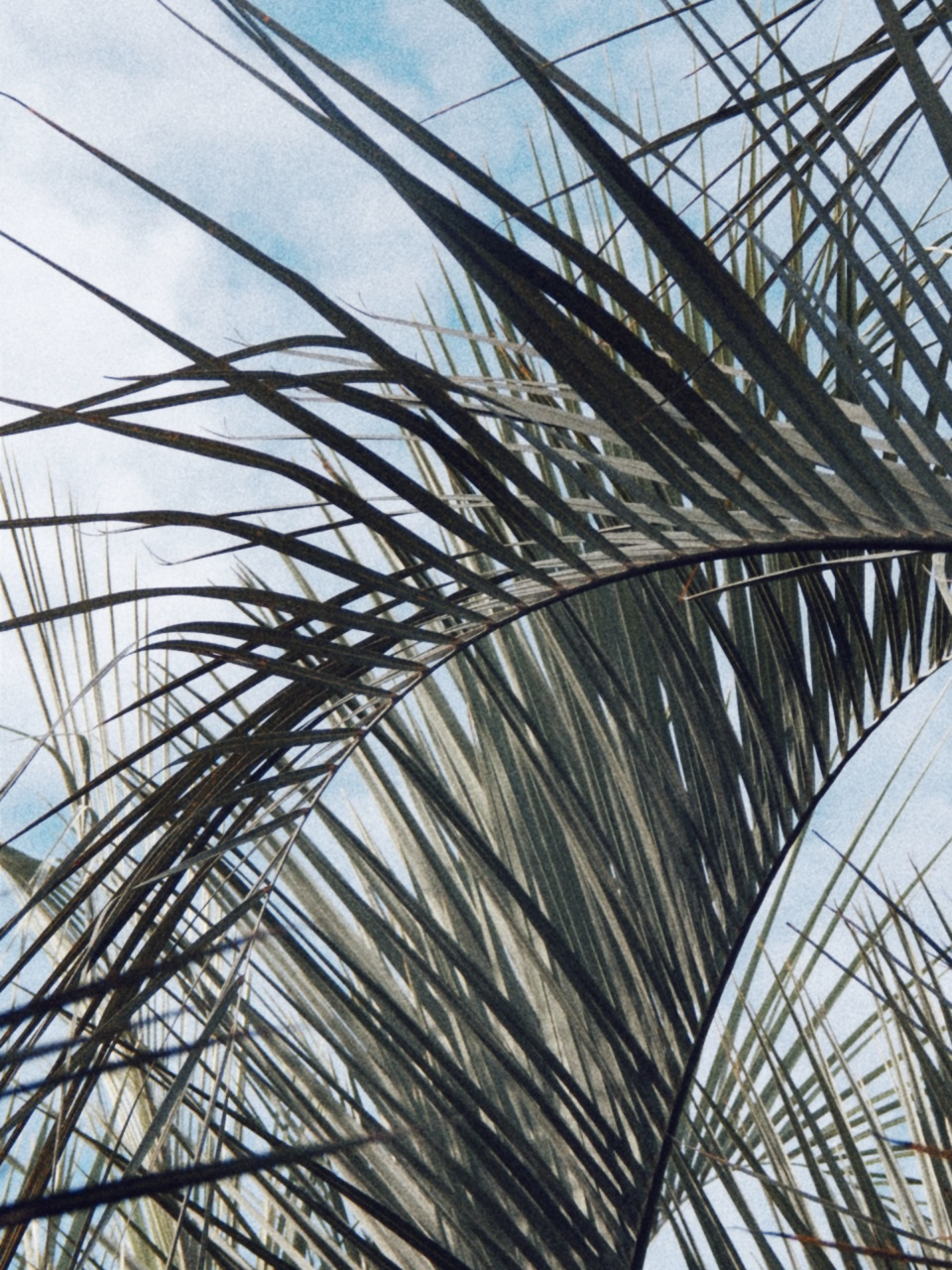 Кинокадры для тебя. фотограф и стилист по прическам Анастасия Помелова