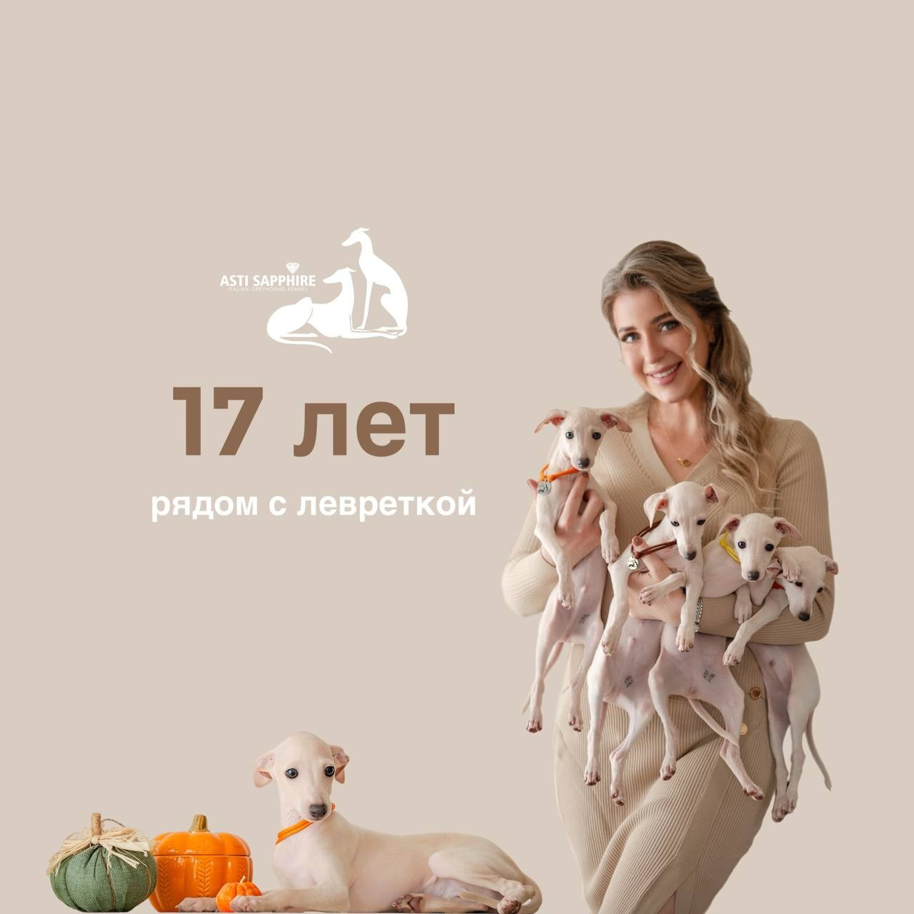 Итоги февраля. Профессиональный питомник левреток РКФ/FCI ASTI SAPPHIRE 💎 Сочи|Санкт-Петербург