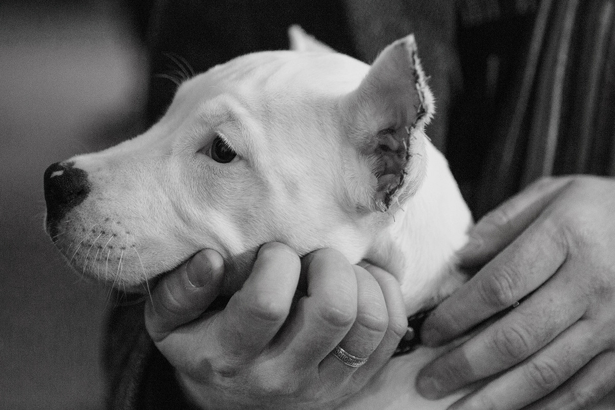 Стандарт. Фотограф Ольга Кардашова