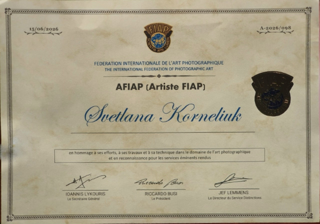 FIAP membership card — Artist FIAP, Svetlana Korneliuk