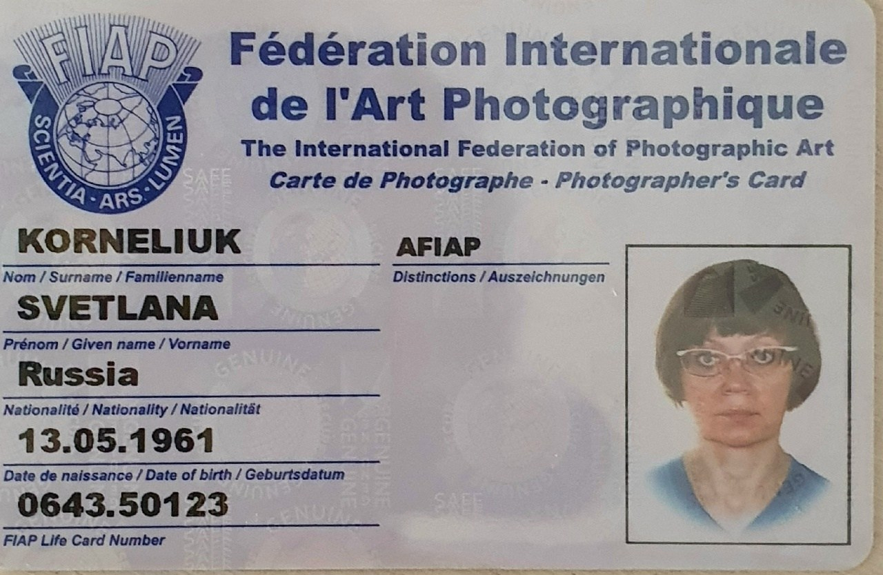 FIAP membership card — Artist FIAP, Svetlana Korneliuk