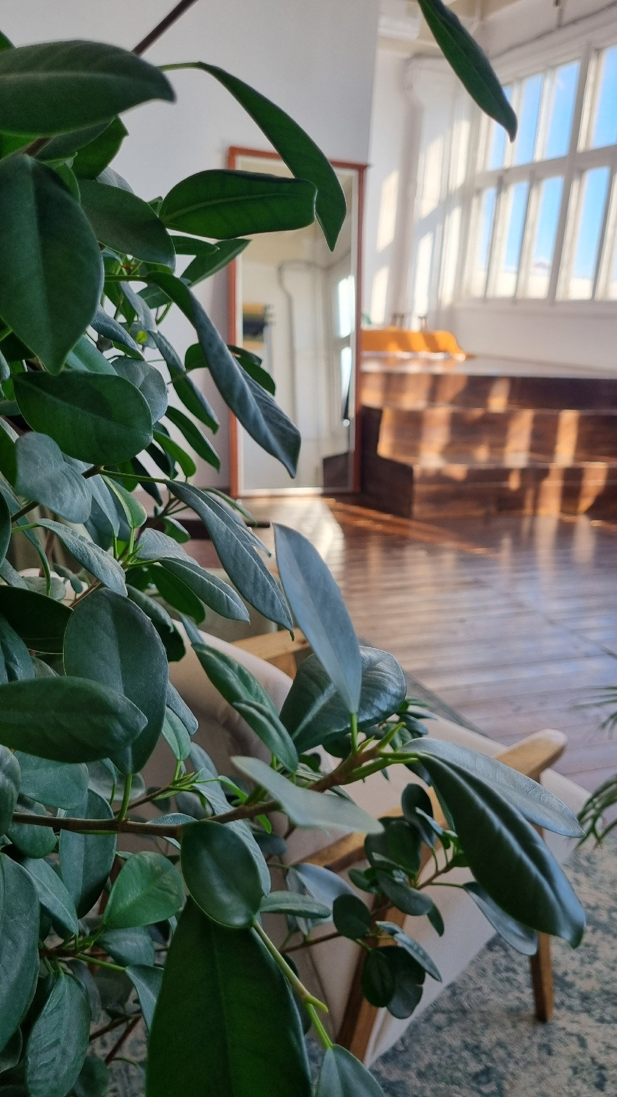 Фотостудии. Женский, семейный и контент-фотограф в Оренбурге Анна Соловых