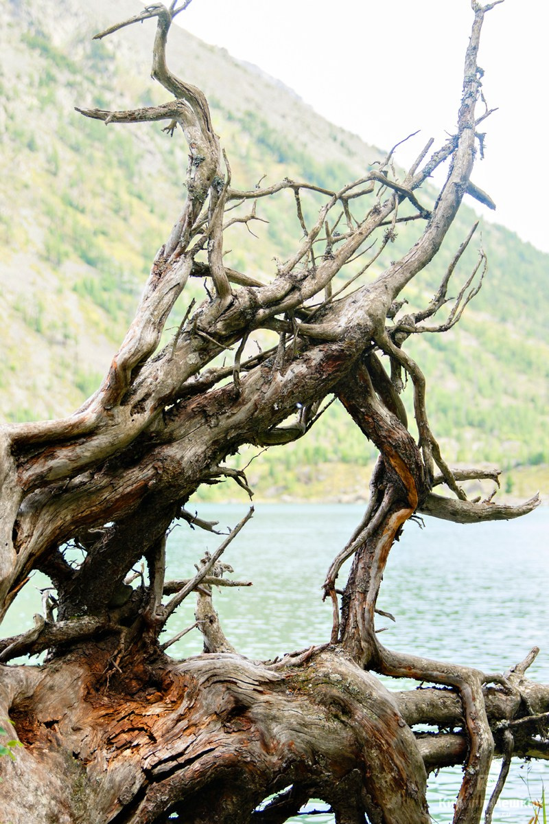 Подберу кадр под ваш интерьер и настроение. Фотограф Кирилл Мешков Кемерово