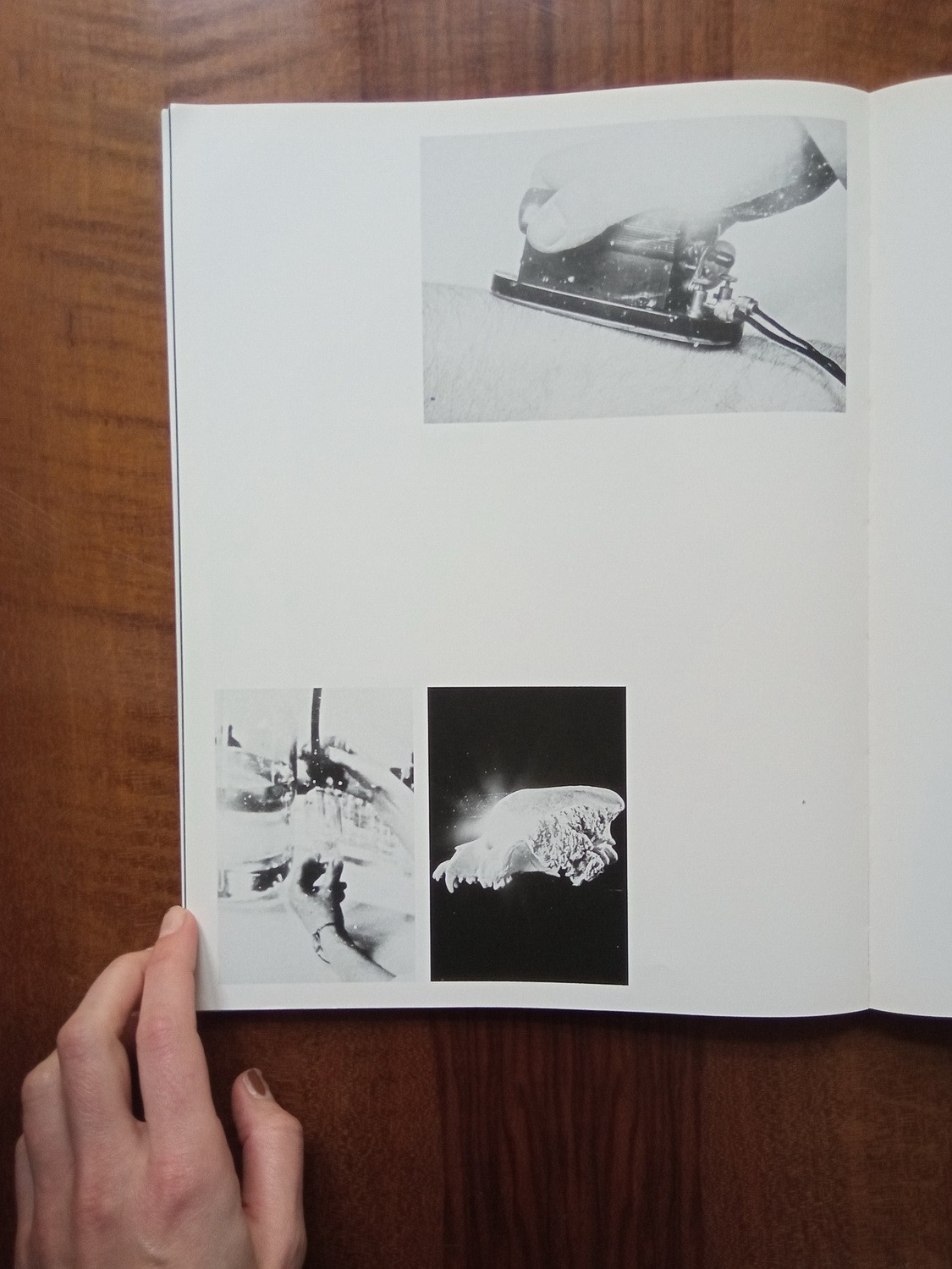 Проект «Worry for the fruit the birds won’t eat» Софи Габриэль. Private image